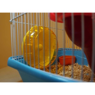 Wheel gắn lồng(chuồng)