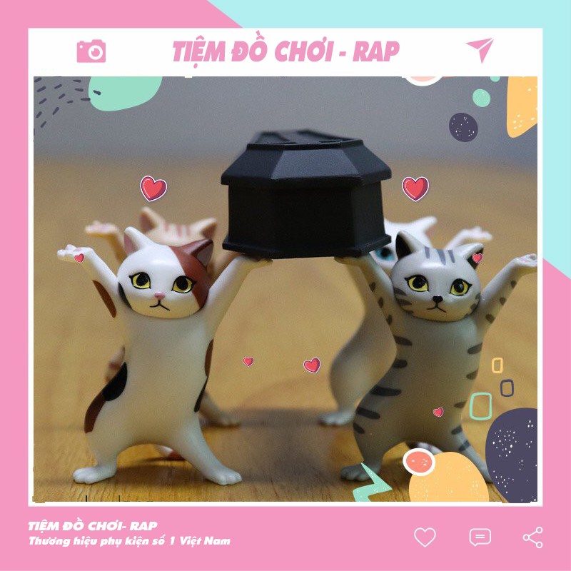 Set 5 mèo mô hình để bàn mèo khiêng quan tài nhảy múa full bộ mini dễ thương trang trí tặng thêm quan tài  - Rap