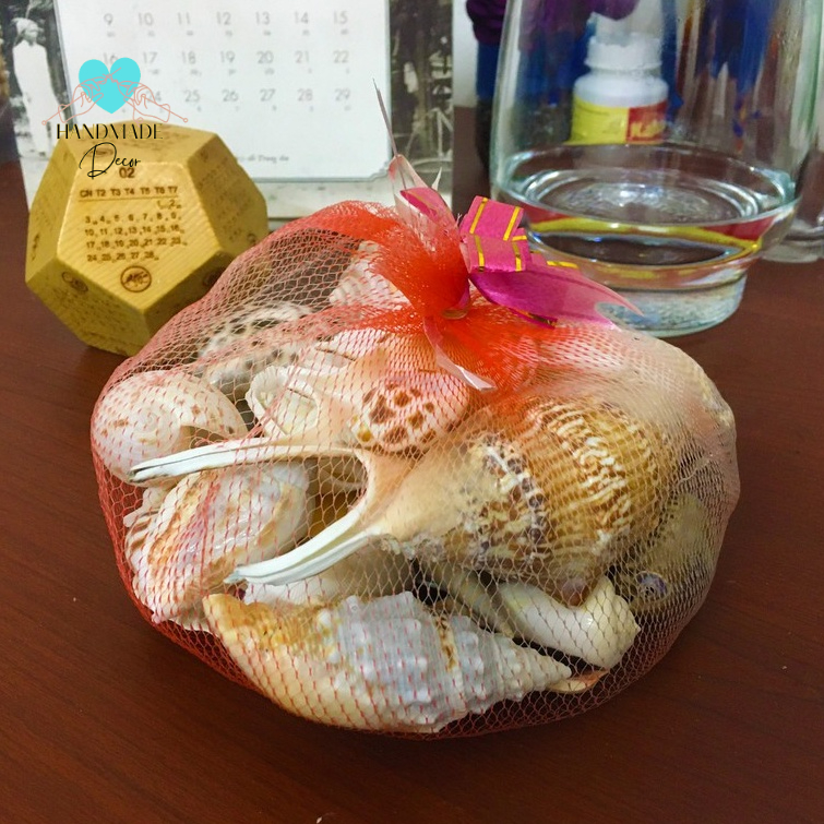 700g Vỏ ốc bộ sưu tập làm quà lưu niệm, trang trí không gian biển