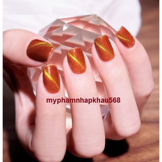 Sơn Gel Cat Eye Perfect Collection (28-56)