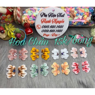 Hoa bột gắn móng: Set 2 bông Cúc Tay và Chân.