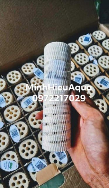 Thùng sứ lọc vi sinh cao cấp Mountain Tree - Sứ củ sen - Sứ xoắn