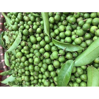 1kg quả sấu tươi