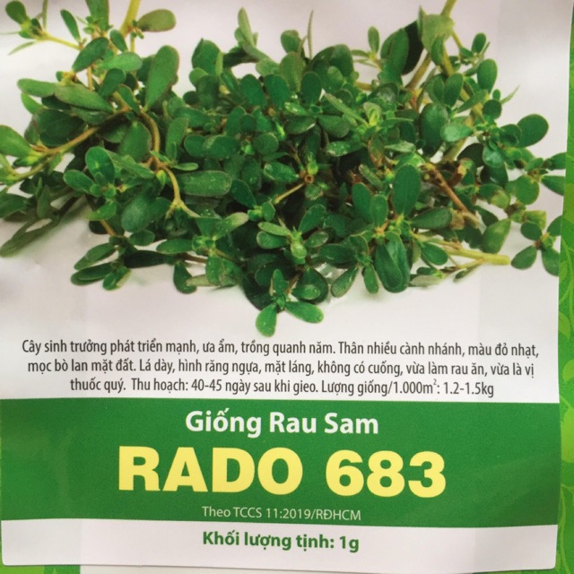 Hạt Giống Rau Sam 863