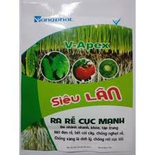 Siêu lân( siêu ra rễ cực mạnh)