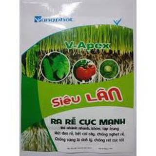 Siêu lân( siêu ra rễ cực mạnh)