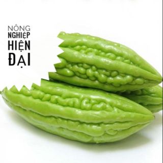 Hạt giống khổ qua F1 (2gram)