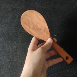 Muỗng gỗ nhãn