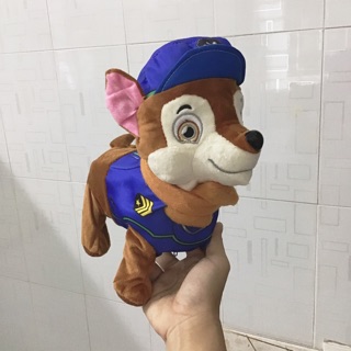 Chó biết đi biết hát