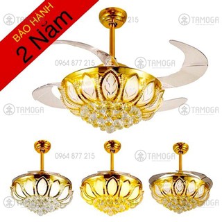 QUẠT TRẦN CÓ ĐÈN ĐIỆN QUANG DQ 8015