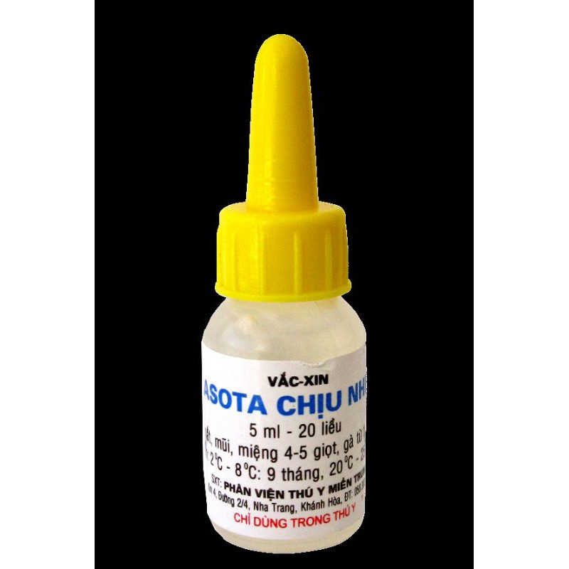 Vacxin Lasota phòng dịch tả, gà rù, niu-cát-xơn.