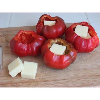 HẠT GIỐNG ỚT NGỌT BÍ NGÔ