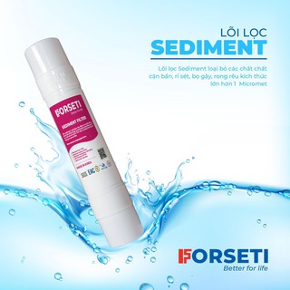 MÁY LỌC NƯỚC FORSETI FWP-620