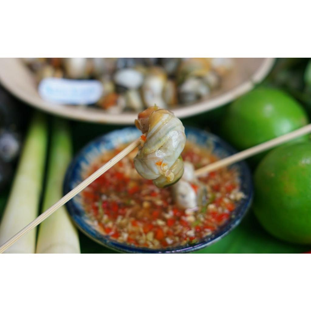 Ốc Đắng Vùi Biển Xanh Thượng Hạng