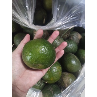 1kg Cam Sành ngọt nhiều nước