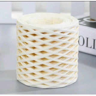 sợi cọ Raffia đan móc mũ túi xách