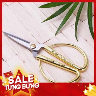 🌸 Kéo Rồng Cán Vàng Sang Trọng ❤️ (Gia dụng tiện ích 1102)