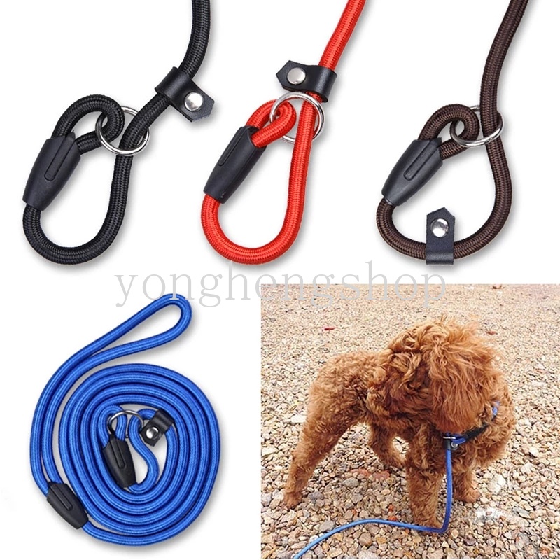 Dây Dắt Thú Cưng Đi Dạo Bằng Chất Liệu Nylon Có Thể Điều Chỉnh Kích Thước