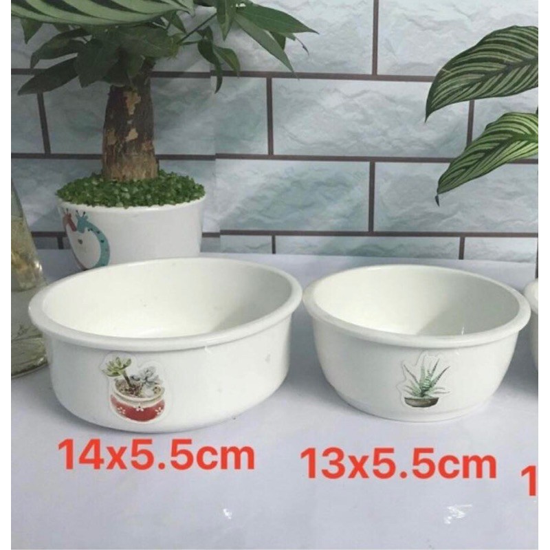 Bộ 3 chậu sứ trồng cây