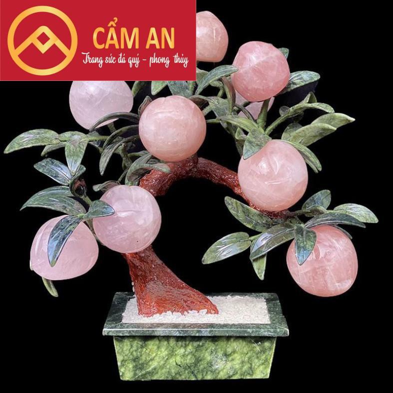 [HÀNG KIỂM ĐỊNH] Cây Đào Tài Lộc Đá TA.Hồng Tự Nhiên 9 - 18 quả