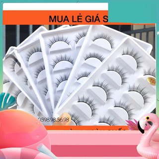 NXG Mi giả chồn 3D 5D mẫu 5 cặp cao cấp, lông mi mềm sợi tơi, có độ cong sẵn nhungxinhgai