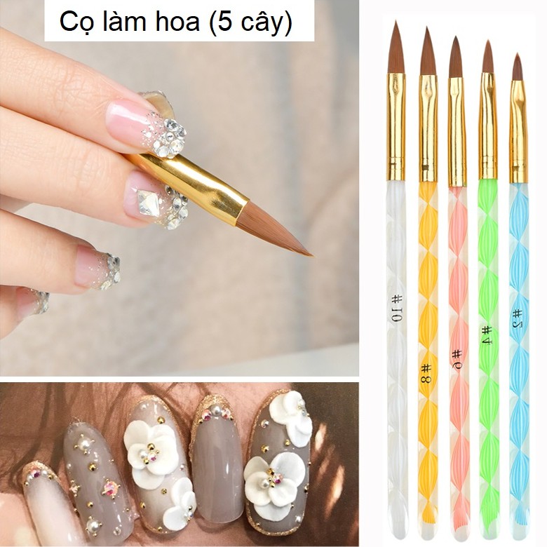 Set 5 cây cọ làm hoa