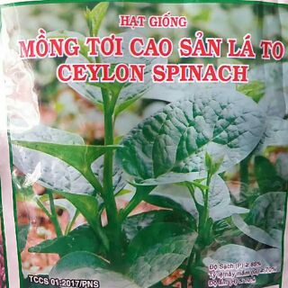 Mồng tơi cao sản lá to 20g