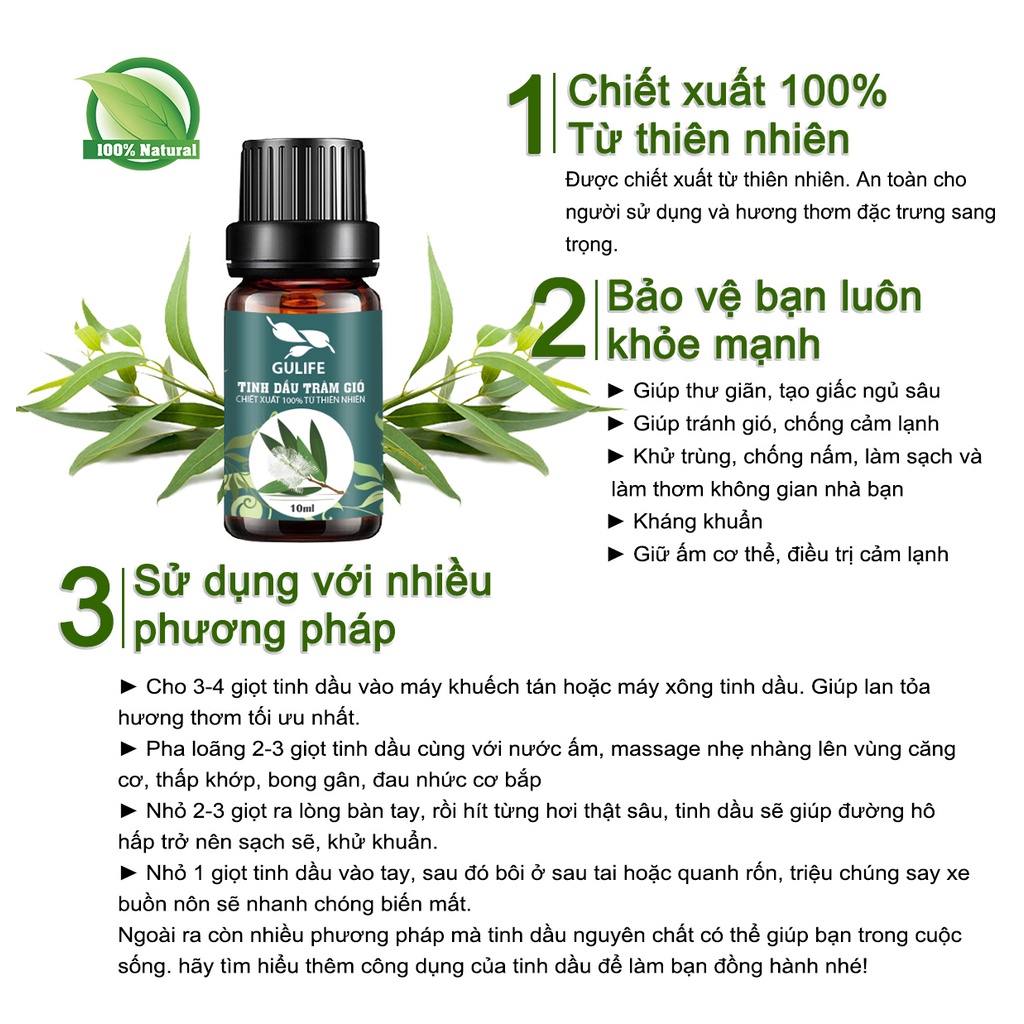 Tinh Dầu Tràm Gió Chiết Xuất Từ Thiên Nhiên GULIFE - Giảm Căng Thằng, Thơm Phòng &amp; Thư Giãn