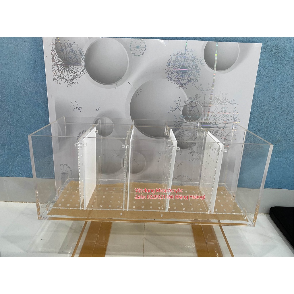 Bể cá betta, Bể cá Acrylic, Bể cá vách ngăn