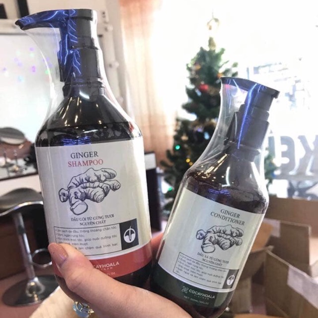Combo Dầu gội gừng