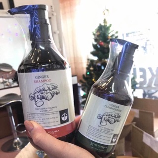 Combo Dầu gội gừng