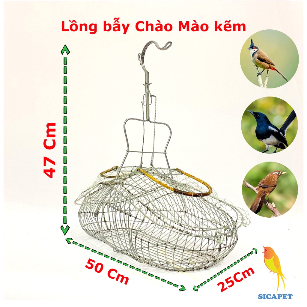Lồng bẫy chào mào - bẫy Khuyên, Lồng bẫy chim Khuyên - chim Chào Mào SICAPET