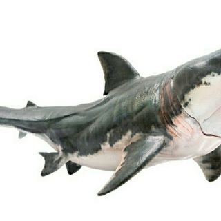 Mô hình cá mập Megalodon hãng PnSo