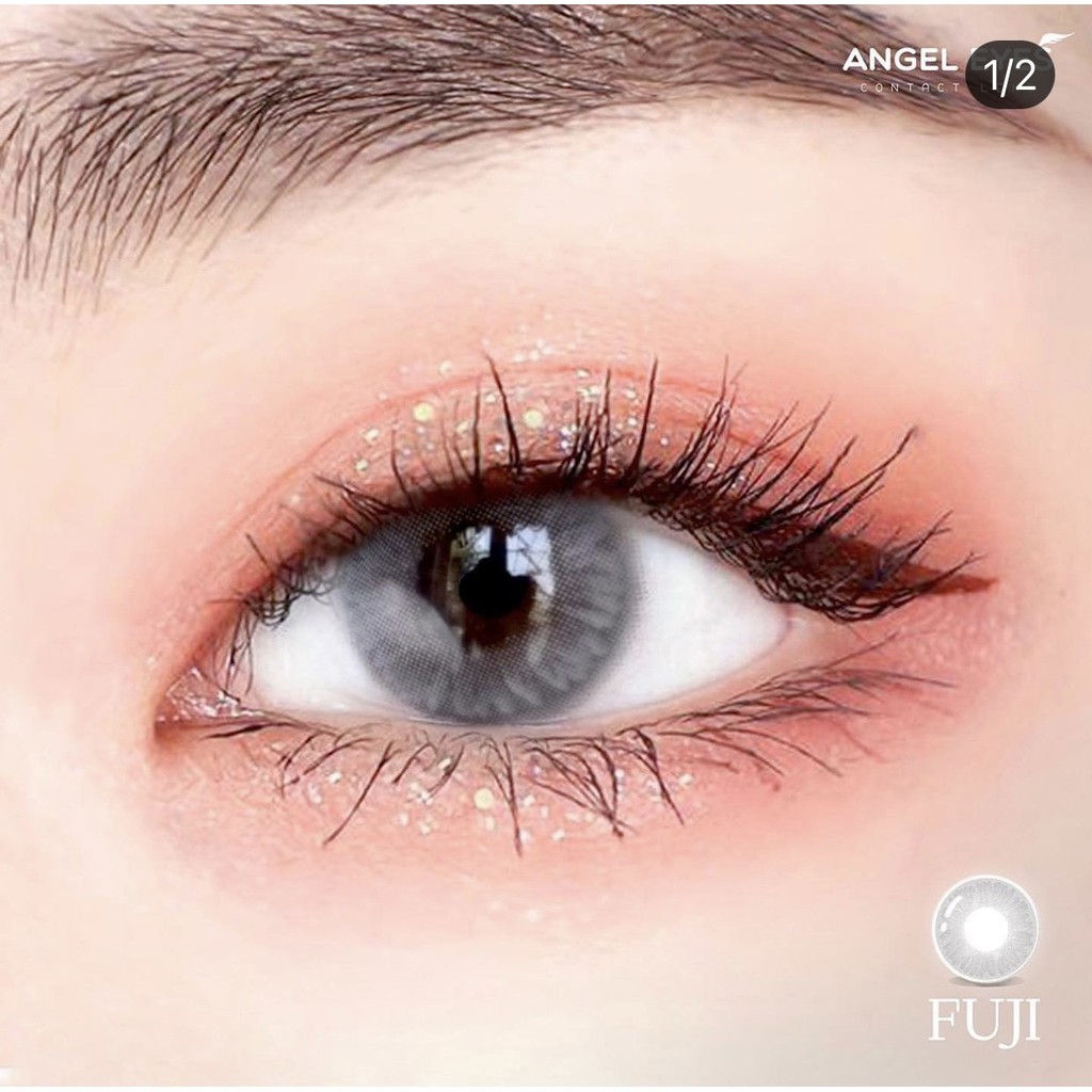 Kính Áp Tròng/ Lens mắt xám tây áp tròng Silicone Hydrogel VIP FUJI  Độ : 0-8