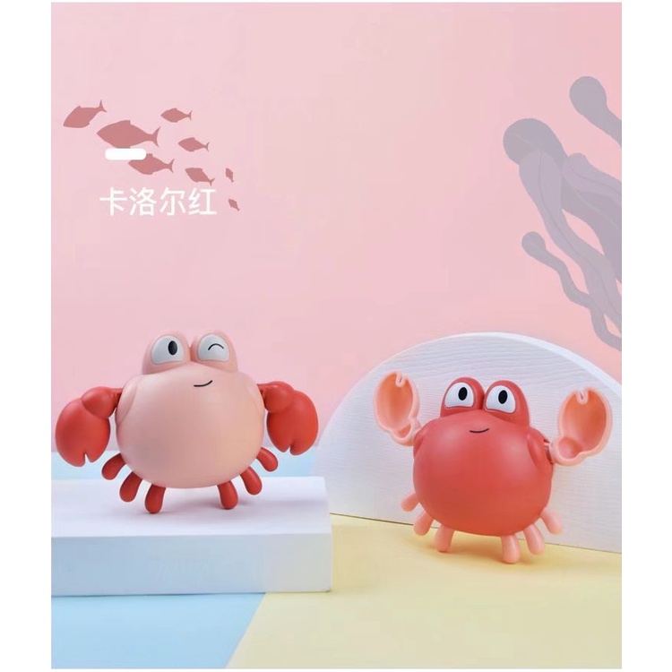 Đồ chơi thả bồn rùa, cua, cá bơi nước đầu trọc cho bé