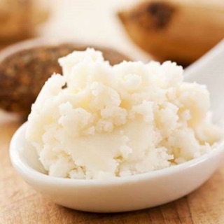 Bơ hạt mỡ - Bơ shea tinh chế - Refine Shea Butter - Nguyên liệu làm son