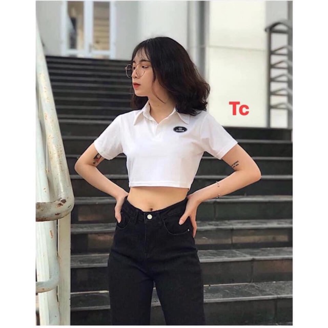 Áo thun polo croptop cổ bẻ logo mlf TC