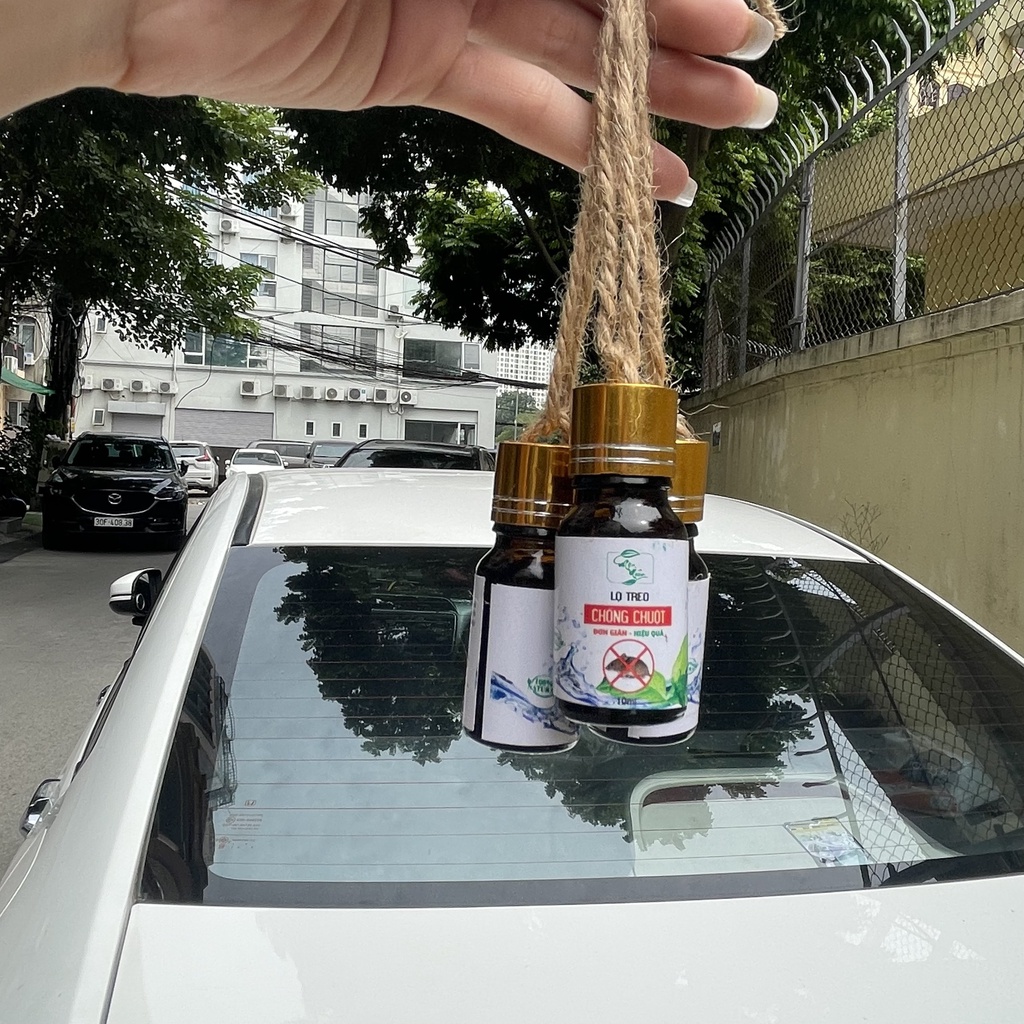 Tinh dầu chống chuột treo khoang máy xe hơi, ô tô hiệu quả