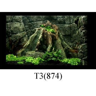 Tranh 3d dán hồ cá mẫu mã đa dạng có keo sẵn