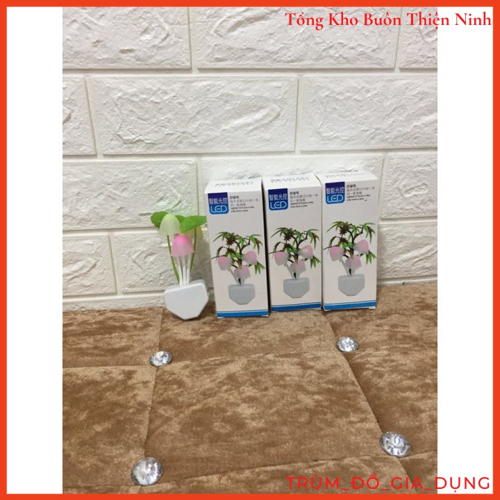 ĐÈN NGỦ CẢM ỨNG NGÀY TẮT TỐI BÂT HÌNH NẤM