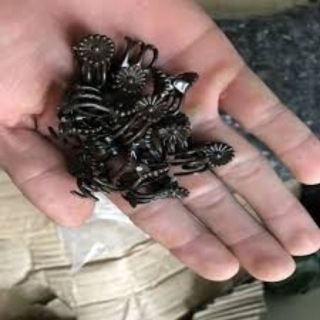 Kẹp Bướm Nhỏ Cố Định Hoa Lan 50 Cái - Kẹp chắc chắn, đẹp