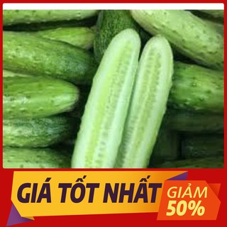 Hạt Giống Dưa Chuột Nếp Lai Siêu Quả (dưa leo)