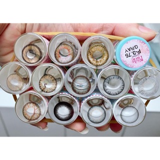 Lens độ 75k/cặp tặng khay đụng cụ