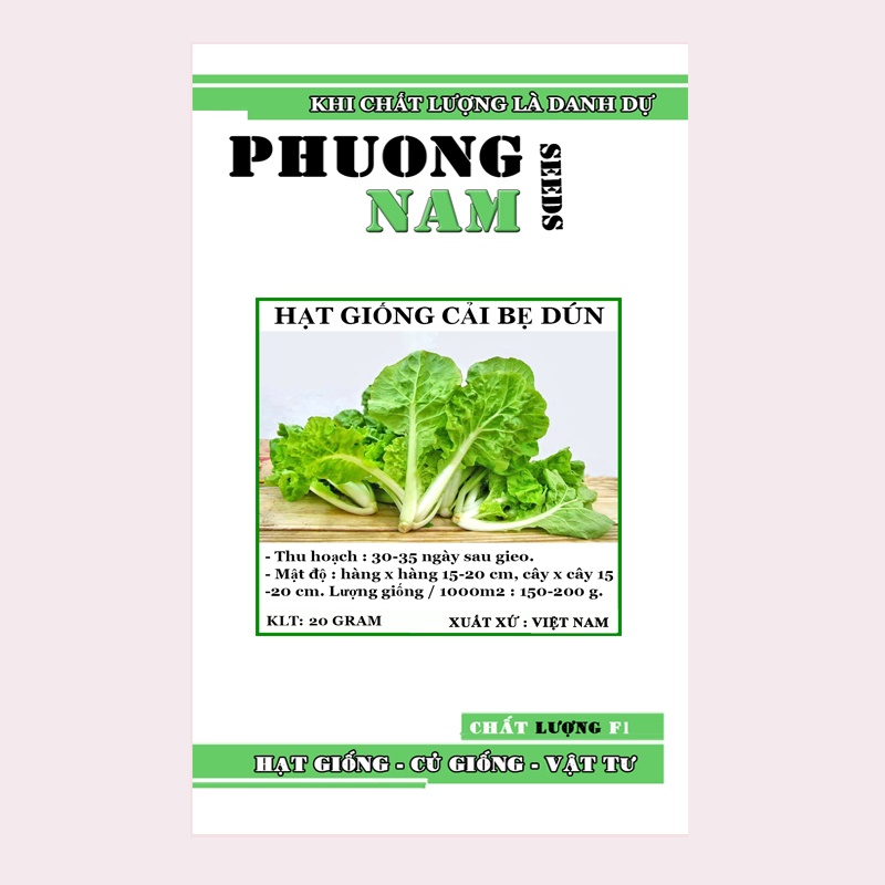 10 GR - HẠT GIỐNG CẢI BẸ DÚN