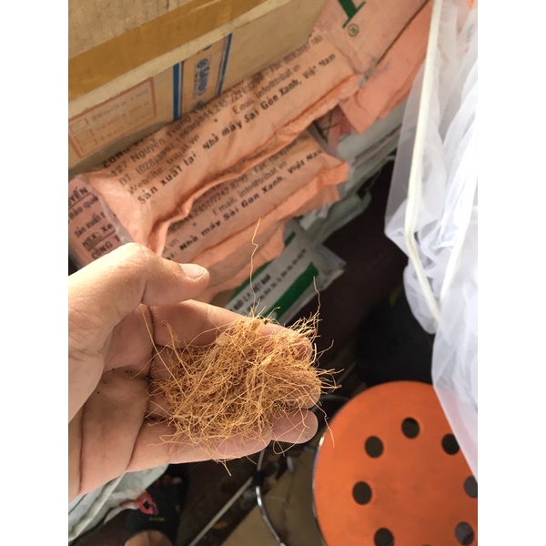 1kg mụn dừa , sơ dừa , ươm cây trồng , dùng cho các loại cây lan ,mai ...