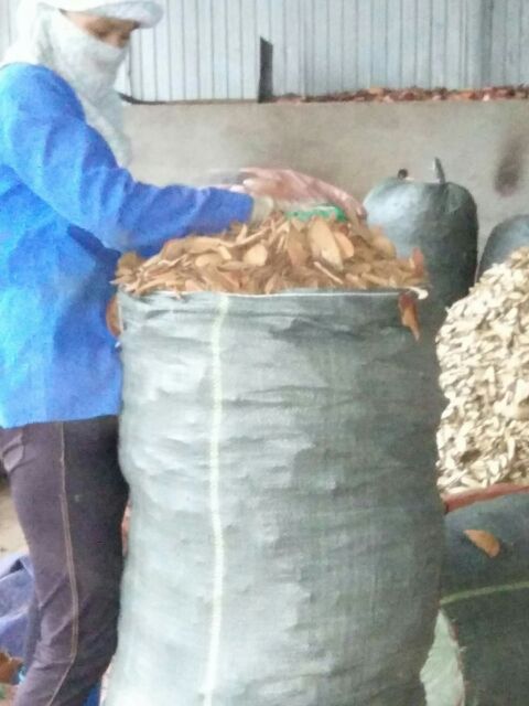 [Mã 267FMCGSALE giảm 8% đơn 500K] Cỏ máu GIA TRUYỀN (chia ấm sẵn) tăng cân, bổ máu | BigBuy360 - bigbuy360.vn