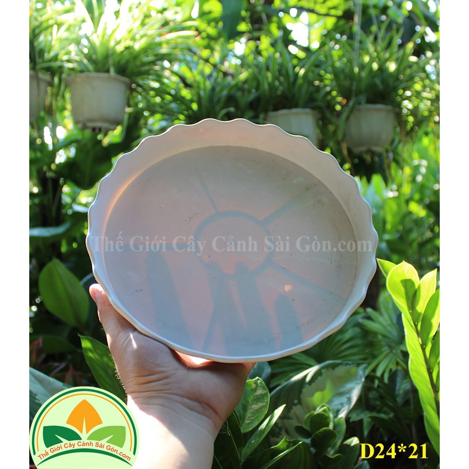 ĐĨA NHỰA TRÒN D24