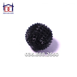 Quả cầu Gai (TÍNH DƯƠNG) Diện Chẩn