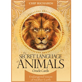 Bộ bài Oracle Secret Language Of Animals