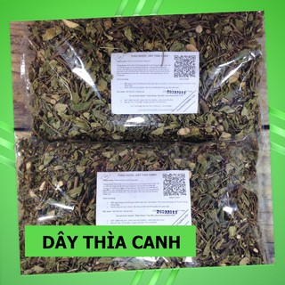 Cây Dây Leo Thìa Canh 💚FREESHIP💚 Thảo Dược Tây Bắc